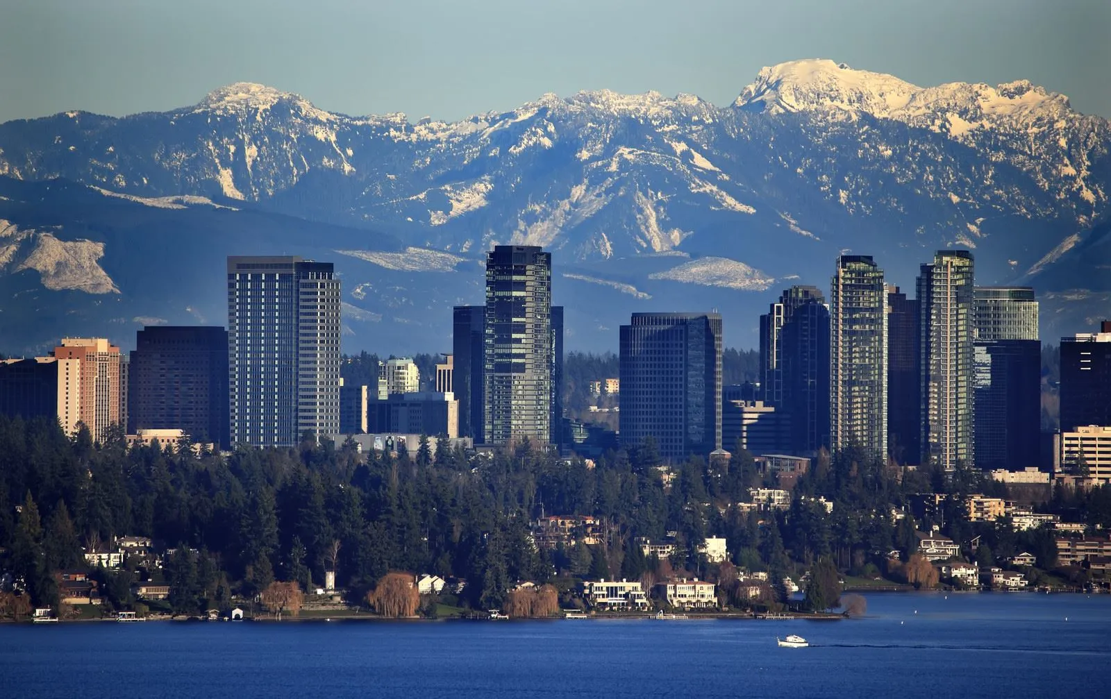 Stress-free,fast, and simple moves for families and businesses in Bellevue, WA
